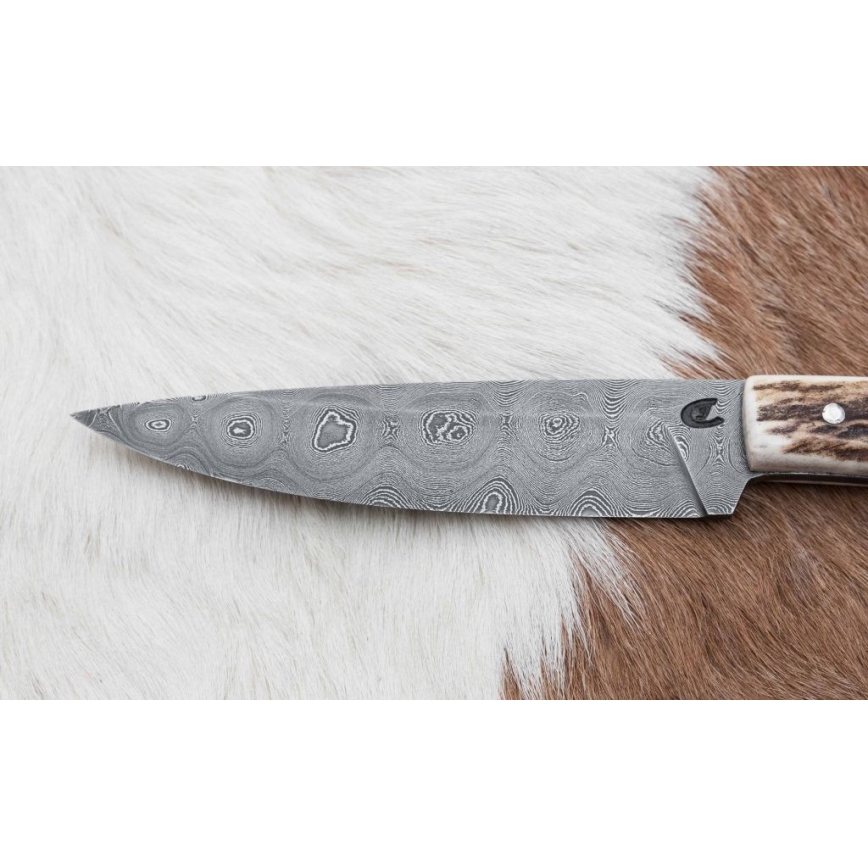 Damasko medžioklės skirstymo peilis su mini pjūklu 12 cm elnio ragas