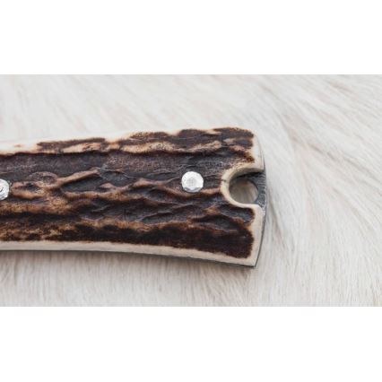 Damasko medžioklės skirstymo peilis su mini pjūklu 12 cm elnio ragas