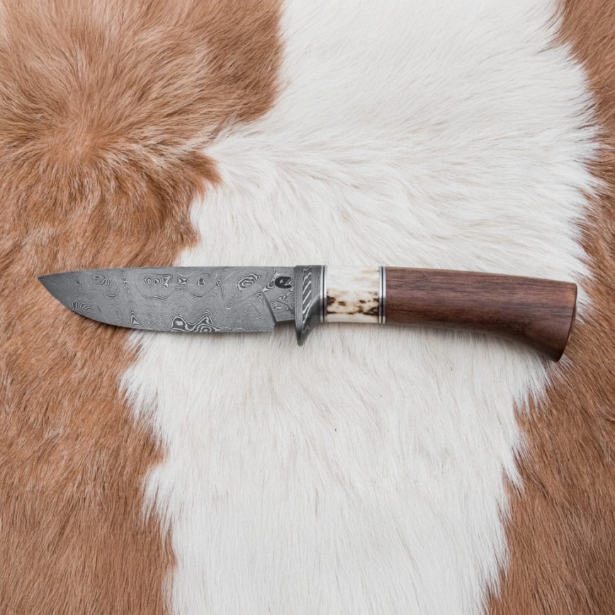 Damasko medžioklinis peilis 11,8 cm graikinis riešutas/elnio ragas