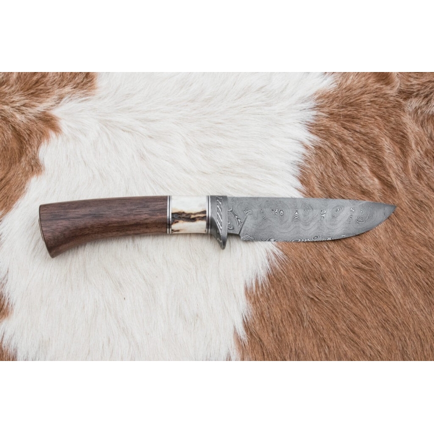 Damasko medžioklinis peilis 11,8 cm graikinis riešutas/elnio ragas