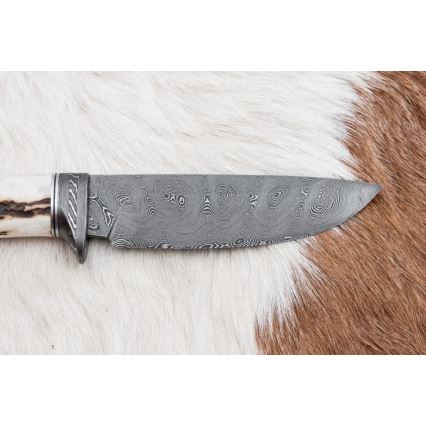 Damasko medžioklinis peilis 11,8 cm graikinis riešutas/elnio ragas