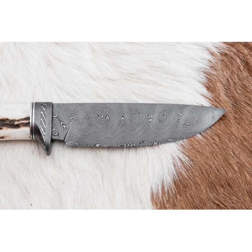 Damasko medžioklinis peilis 11,8 cm graikinis riešutas/elnio ragas