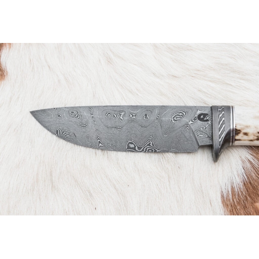 Damasko medžioklinis peilis 11,8 cm graikinis riešutas/elnio ragas