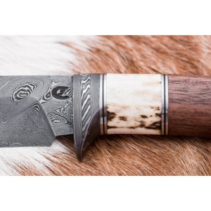 Damasko medžioklinis peilis 11,8 cm graikinis riešutas/elnio ragas