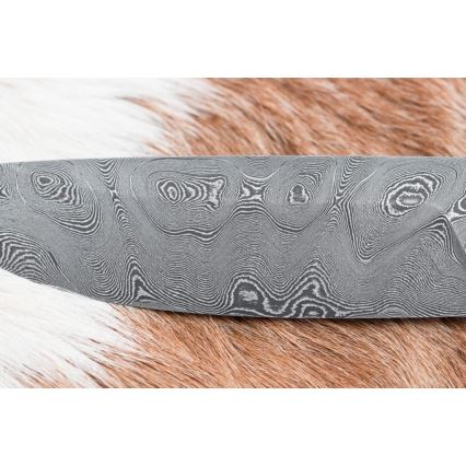 Damasko medžioklinis peilis 11,8 cm graikinis riešutas/elnio ragas