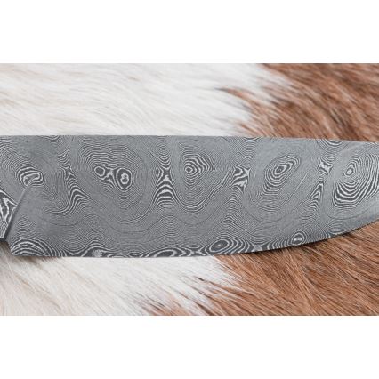 Damasko medžioklinis peilis 11,8 cm graikinis riešutas/elnio ragas