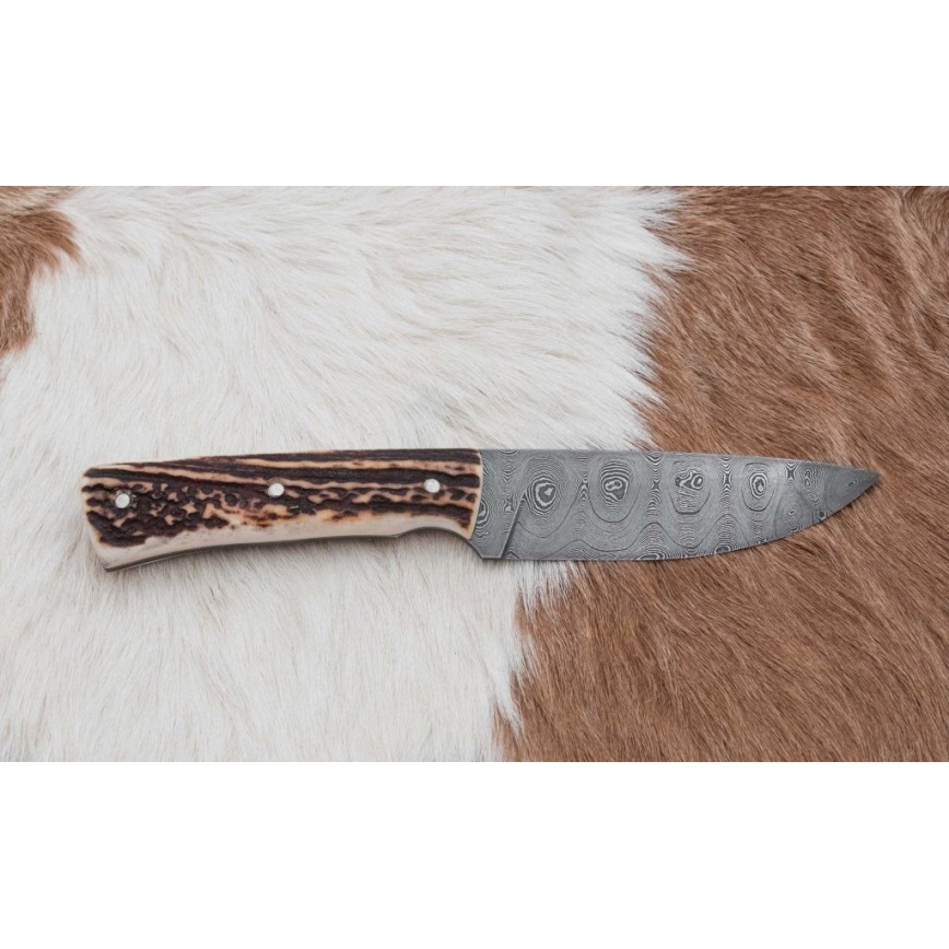 Damasko medžioklinis peilis 11 cm elnio ragas