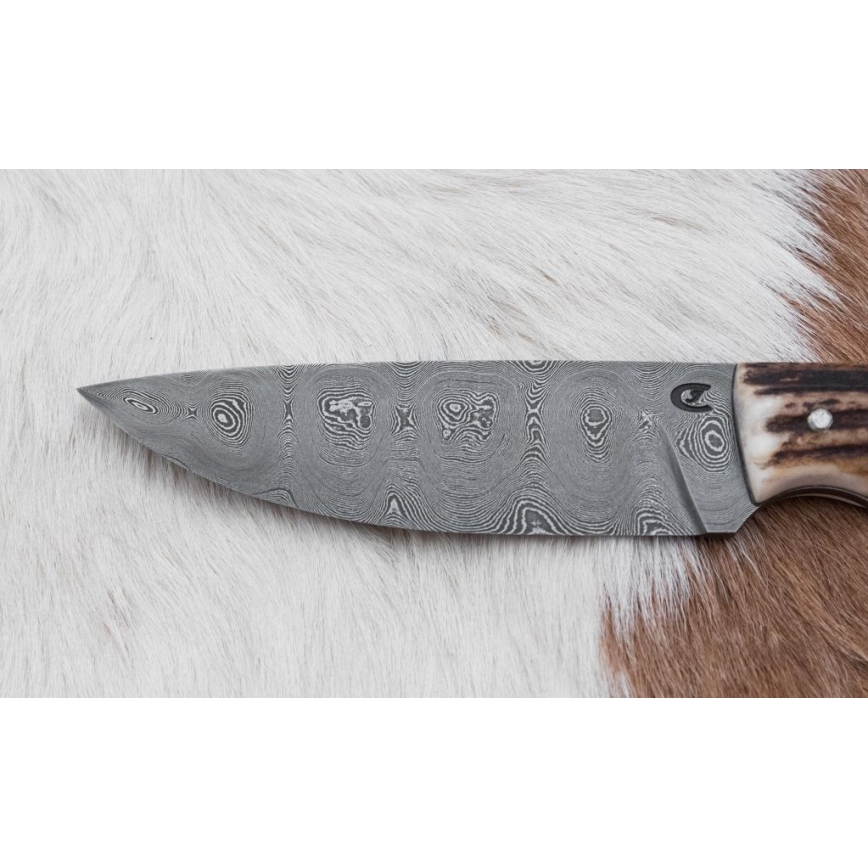 Damasko medžioklinis peilis 11 cm elnio ragas