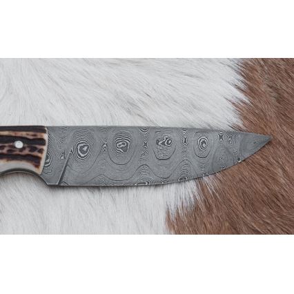 Damasko medžioklinis peilis 11 cm elnio ragas
