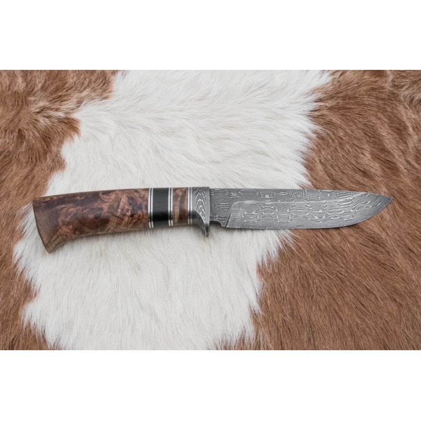 Damasko medžioklinis peilis 13 cm tuopos/juodmedis
