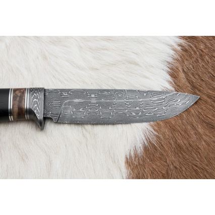 Damasko medžioklinis peilis 13 cm tuopos/juodmedis