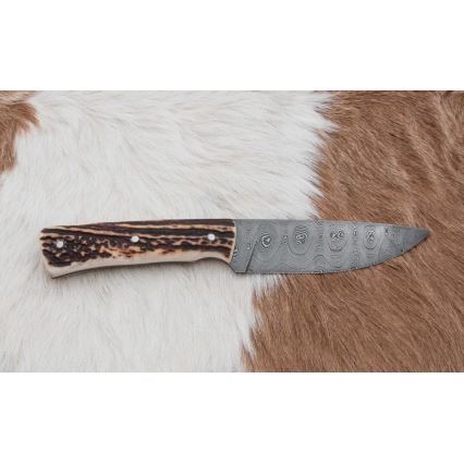 Damasko medžioklinis peilis su mini pjūklu 11 cm elnio ragas