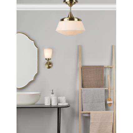 Där Lighting CAD0175 - Vonios kambario paviršinis šviestuvas CADEN 1xE27/60W/230V IP44 žalvaris