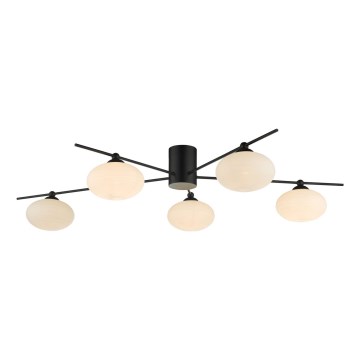 Där Lighting JAS5422 - Prie lubų montuojamas šviestuvas JASPER 5xG9/25W/230V juodas