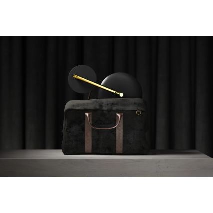 Deante ADI_Z812 - SILIA LED įkraunamas vonios kosmetinis veidrodis LED/5V 5000 mAh 2700-6500K IP44