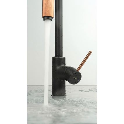 Deante BCA_B64M - Virtuvinis maišytuvas ASTER juodas/žalvarinis