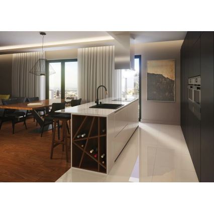 Deante BCA_B64M - Virtuvinis maišytuvas ASTER juodas/žalvarinis