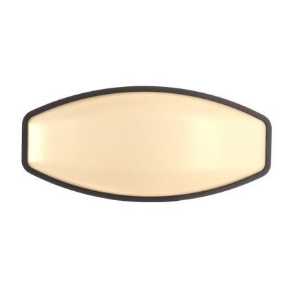 Deko-Light 731092 - LED sieninis lauko šviestuvas ERIDANI LED/13W/230V IP44 antracitas