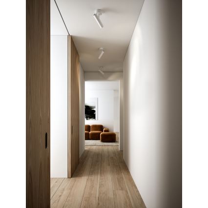 DFTP by Nordlux - Akcentinis apšvietimas MIB 1xGU10/8W/230V balta