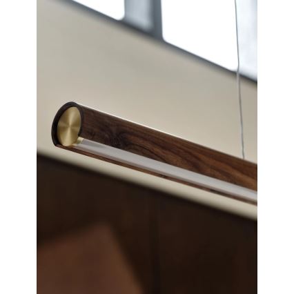 DFTP by Nordlux - LED reguliuojama pakabinama liustra ant troselio AKENO LED/25W/230V 3000K uosis