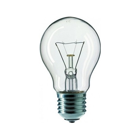 Didelio našumo elektros lemputė CLEAR A55 E27/25W/230V