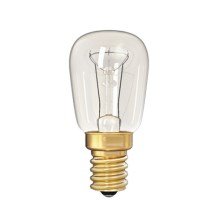 Didelio našumo elektros lemputė E14/25W/24V