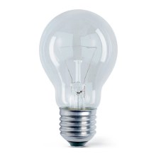 Didelio našumo elektros lemputė E27/100W/230V