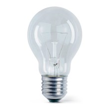 Didelio našumo elektros lemputė E27/200W/230V