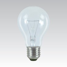 Didelio našumo elektros lemputė E27/25W/24V