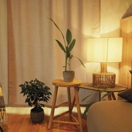 Dimeriuojama LED lemputė A60 E27/10,5W/230V 2700K