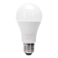 Dimeriuojama LED lemputė A60 E27/9W/230V 6500K - Aigostar