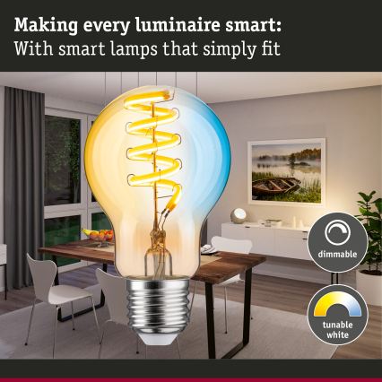 Dimeriuojama LED lemputė FILAMENT E27/7,5W/230V 2200-5500K - Paulmann 29155