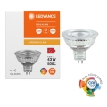 Dimeriuojama LED reflektorinė lemputė MR16 GU5,3/6,6W/12V 4000K 36° CRI 97 - Ledvance