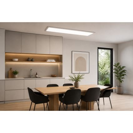 LED RGBW dimeriuojama paviršinė LED panelė LED/13,5W/230V 3000-6500K 29,5x59,5 cm sidabrinė + nuotolinis valdymas