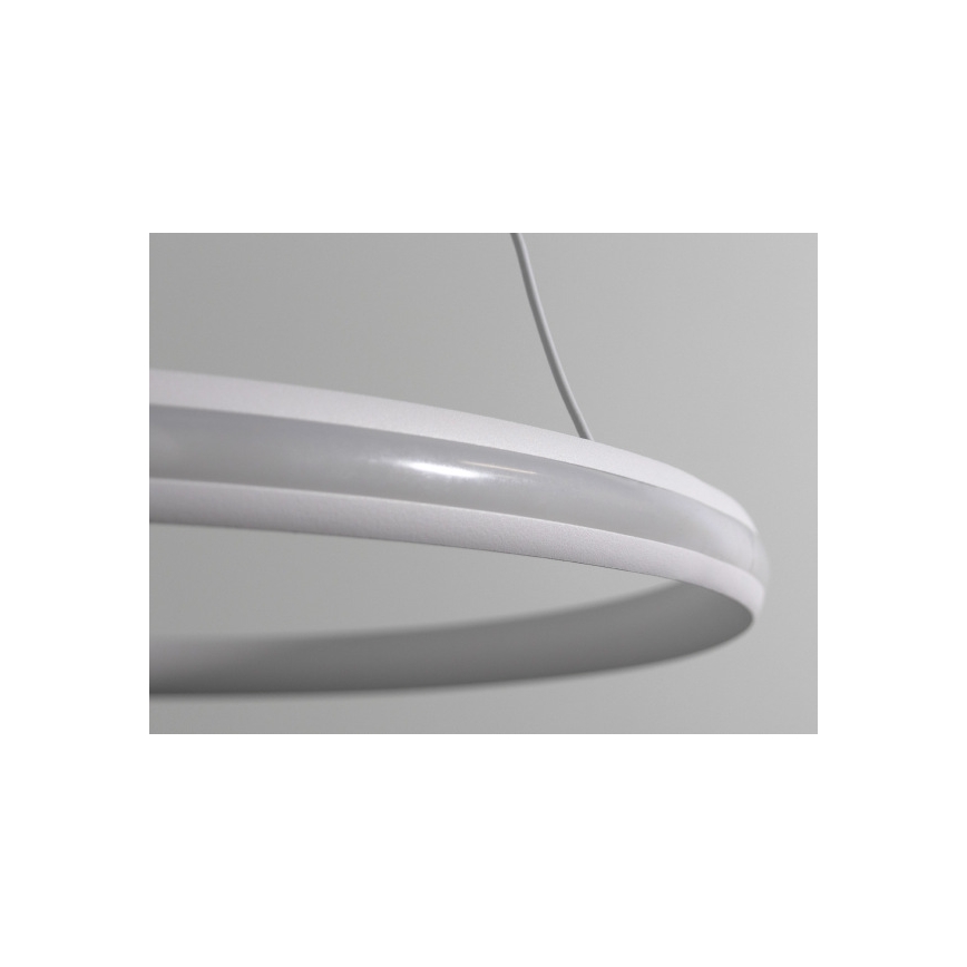 Reguliuojamas LED pakabinamas šviestuvas ant laido LED/55W/230V 3000–6500 K Ø 60 cm + nuotolinio valdymo pultas