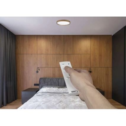 Dimeriuojamas LED lubinis šviestuvas ILVI LED/30W/230V 2700-6500K skersmuo 40 cm smėlinis + nuotolinis valdymas