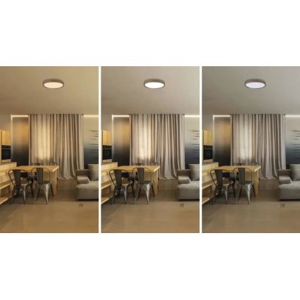 Dimeriuojamas LED lubinis šviestuvas ILVI LED/30W/230V 2700-6500K skersmuo 40 cm smėlinis + nuotolinis valdymas