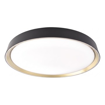 Dimeriuojamas LED lubinis šviestuvas ILVI LED/30W/230V 2700-6500K skersmuo 40 cm juoda/žalvaris + nuotolinis valdymas
