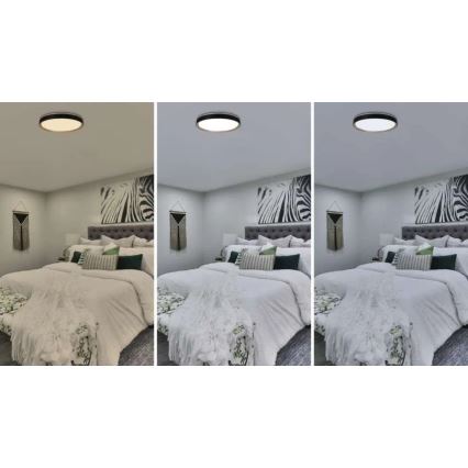 LED reguliuojamo ryškumo lubinis šviestuvas ILVI LED/45W/230V 2700-6500K skersmuo 50 cm juoda/smėlinė + nuotolinis valdymas