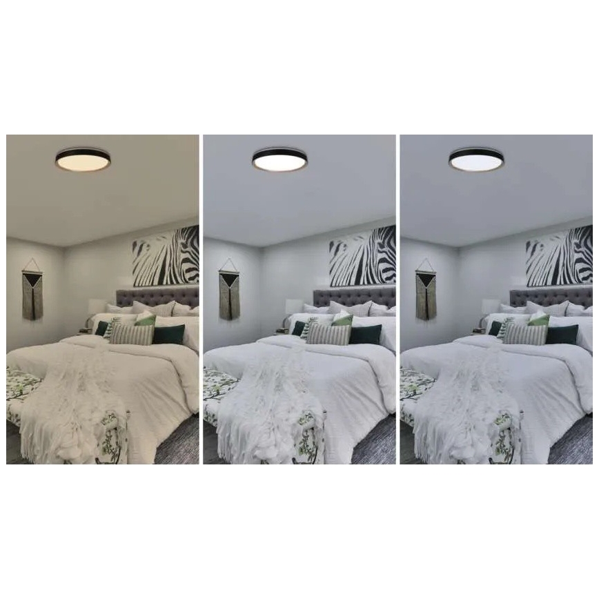 LED reguliuojamo ryškumo lubinis šviestuvas ILVI LED/45W/230V 2700-6500K skersmuo 50 cm juoda/smėlinė + nuotolinis valdymas