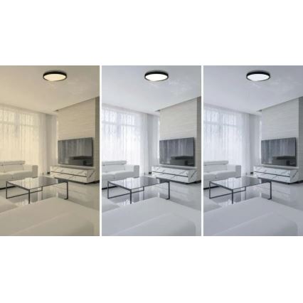 Reguliuojamas LED lubinis šviestuvas ILVI LED/45W/230V 2700-6500K skersmuo 50 cm juodas/žalvaris + nuotolinis valdymas