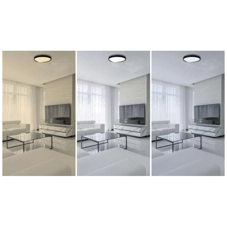 Reguliuojamas LED lubinis šviestuvas ILVI LED/45W/230V 2700-6500K skersmuo 50 cm juodas/žalvaris + nuotolinis valdymas