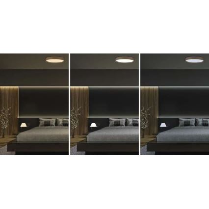 Dimeriuojamas LED lubinis šviestuvas ILVI LED/45W/230V 2700-6500K skersmuo 50 cm smėlio spalvos + nuotolinis valdymas