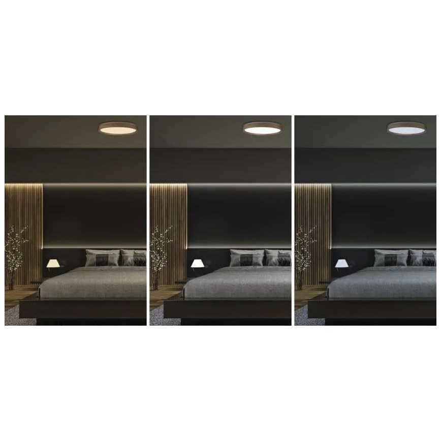 Dimeriuojamas LED lubinis šviestuvas ILVI LED/45W/230V 2700-6500K skersmuo 50 cm smėlio spalvos + nuotolinis valdymas