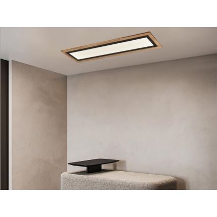 Dimeriuojamas LED lubinis šviestuvas LED/55W/230V 3000-6500K + nuotolinio valdymo pultas