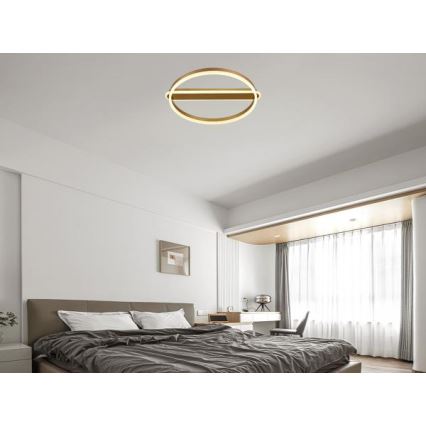 Dimeriuojamas LED lubinis šviestuvas LED/60W/230V 3000-6500K + nuotolinis valdymas