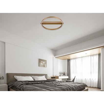 Dimeriuojamas LED lubinis šviestuvas LED/60W/230V 3000-6500K + nuotolinis valdymas