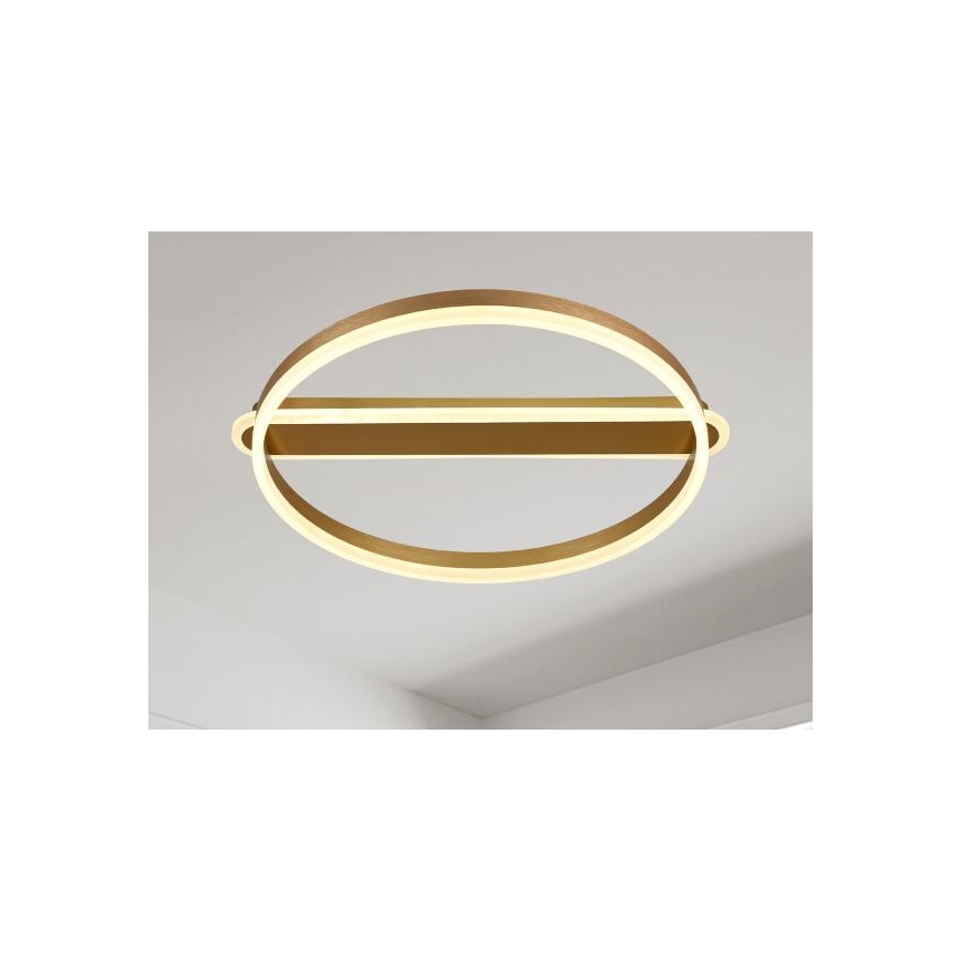 Dimeriuojamas LED lubinis šviestuvas LED/60W/230V 3000-6500K + nuotolinis valdymas