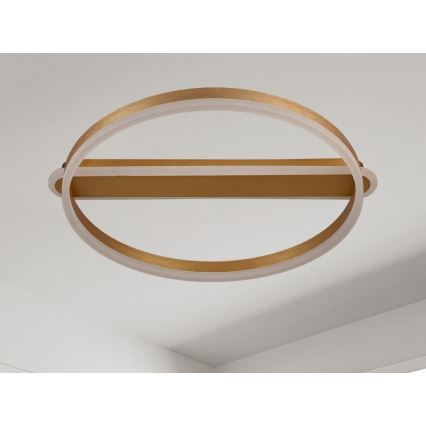 Dimeriuojamas LED lubinis šviestuvas LED/60W/230V 3000-6500K + nuotolinis valdymas