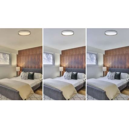 Dimeriuojamas LED lubinis šviestuvas ILVI LED/45W/230V 2700-6500K skers. 50 cm balta/smėlinė + nuotolinis valdymas